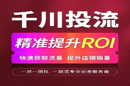 某知名企业SEM营销全案解析